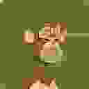 inscription e5882bacf1bc119b34b08b3b089243bebf33c2f5e720c1a0f45b6be068299a05i0