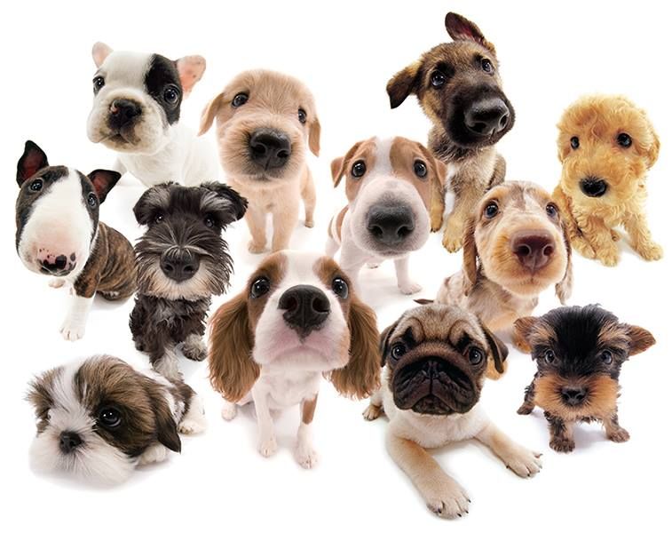 inscription f2f2bba771f44dfb8456bdd763bc89307ca65b355ea84d4b22c807cd717dc16fi0